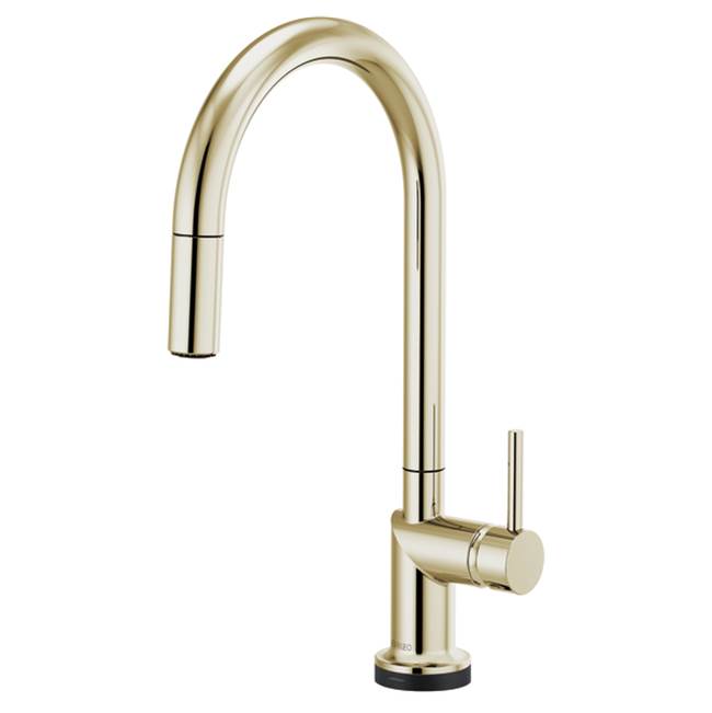 Brizo Retractable Faucets Kitchen Faucets item 64075LF-PNLHP