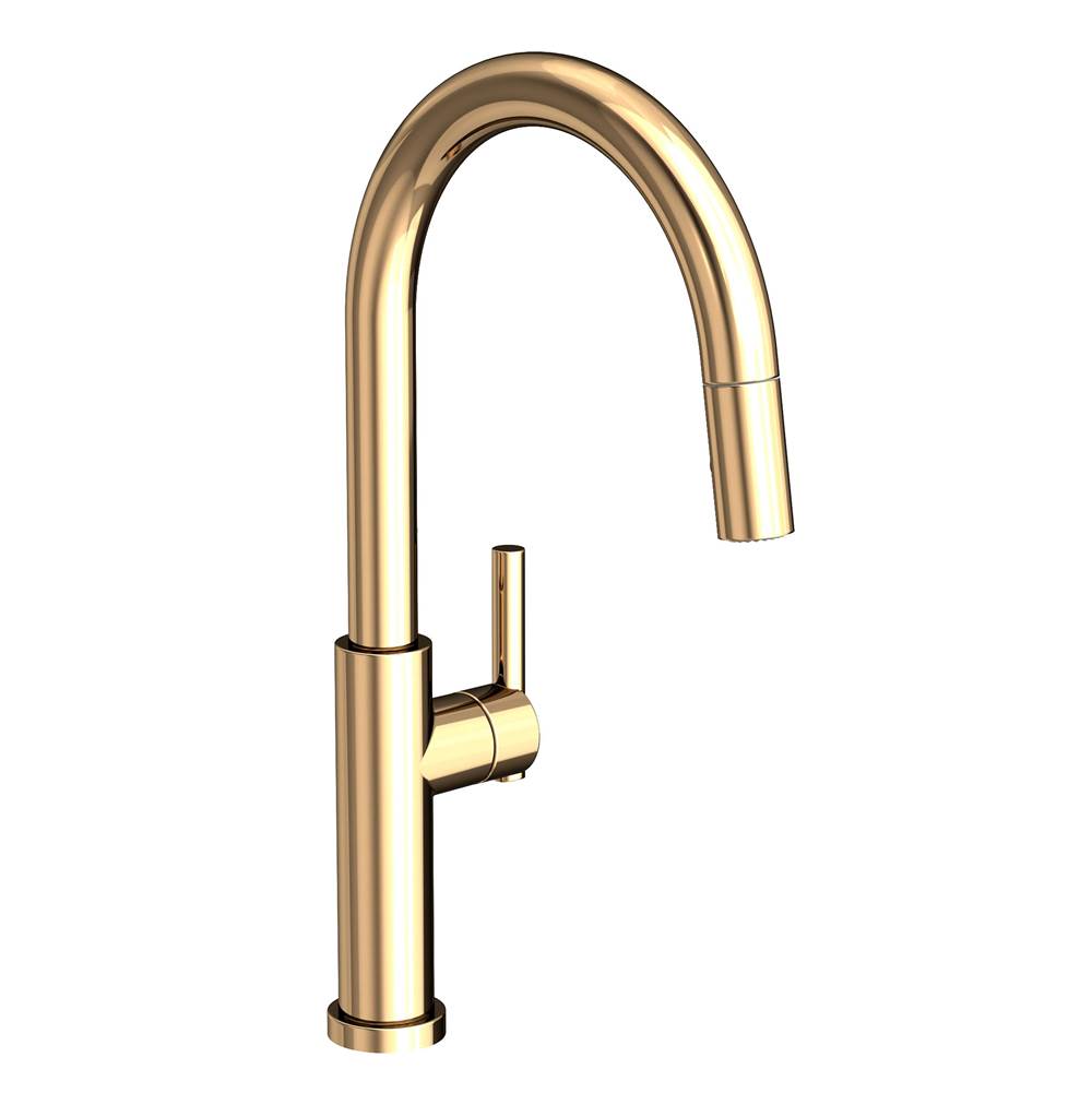 Newport Brass Retractable Faucets Kitchen Faucets item 1500-5143/24A