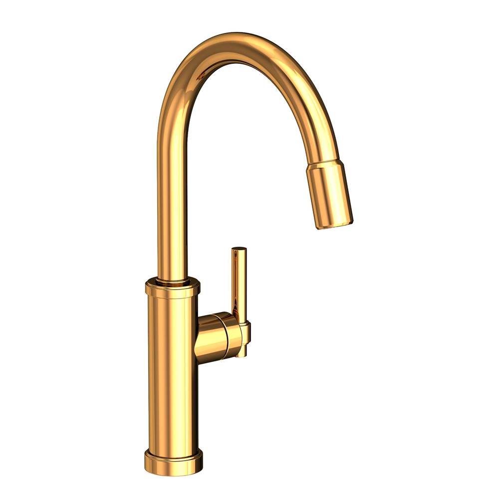 Newport Brass Retractable Faucets Kitchen Faucets item 3180-5113/24