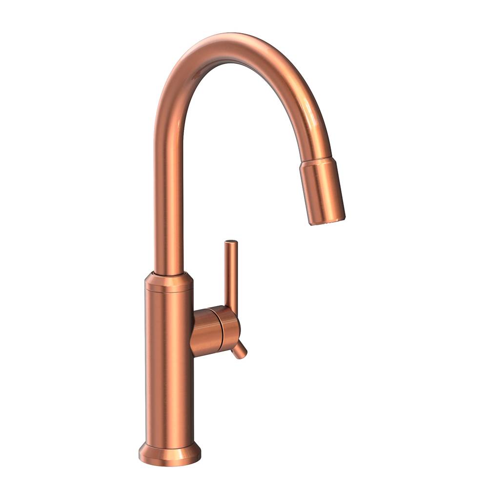 Newport Brass Retractable Faucets Kitchen Faucets item 3200-5113/08A