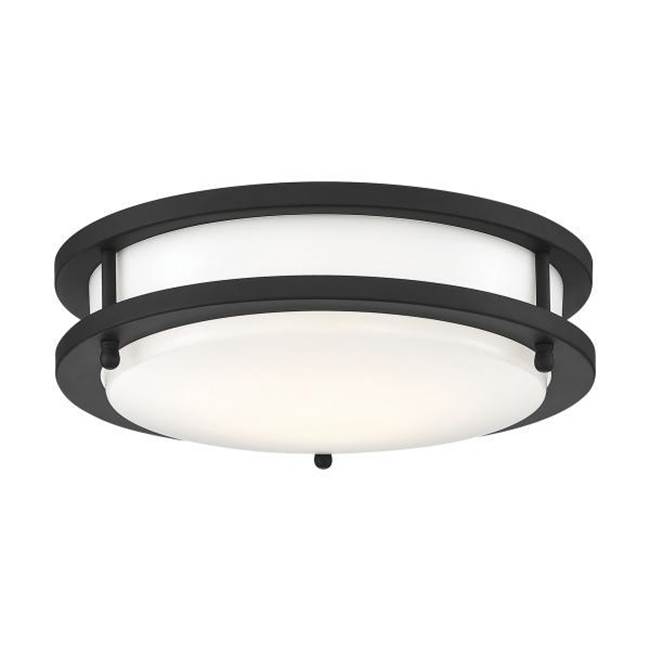 Nuvo  Ceiling Lights item 62-1735