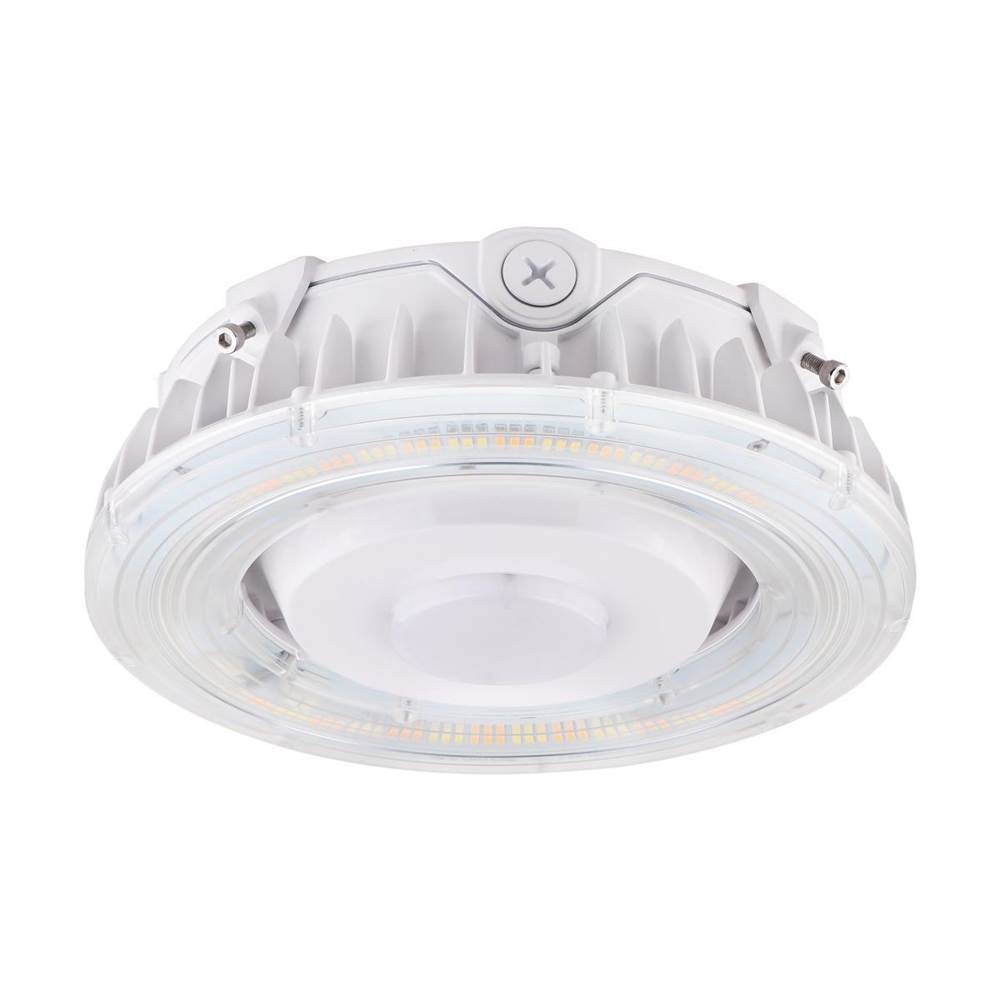 Nuvo  Ceiling Lights item 65-623