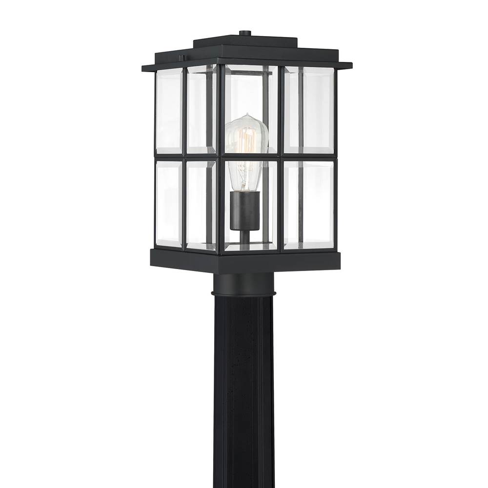 Quoizel Lanterns Outdoor Lights item MGN9008MBK