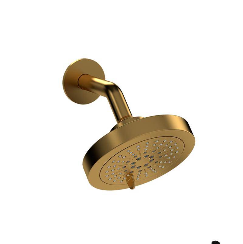 Riobel Multi Function Shower Heads Shower Heads item 366BG