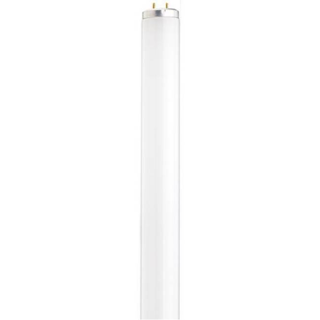 Satco Fluorescent Light Bulbs item S26575