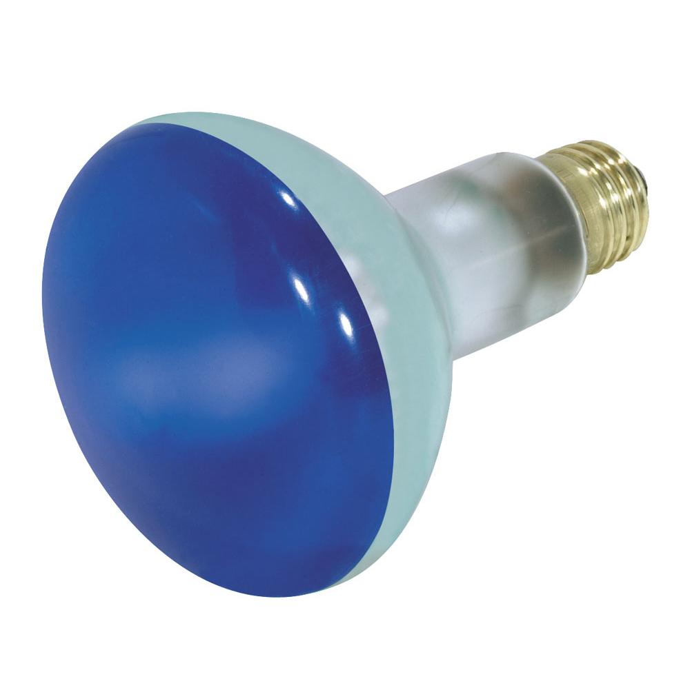Satco Incandescent Light Bulbs item S3228