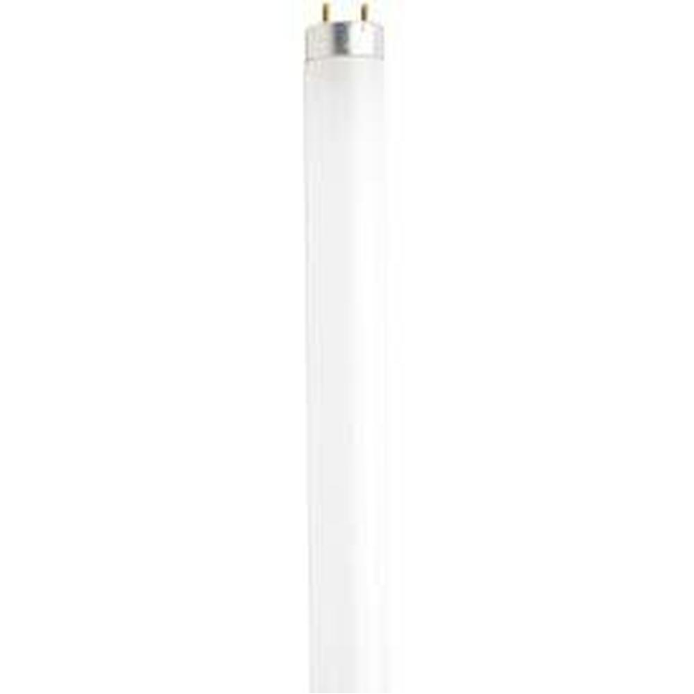 Satco Fluorescent Light Bulbs item S6537