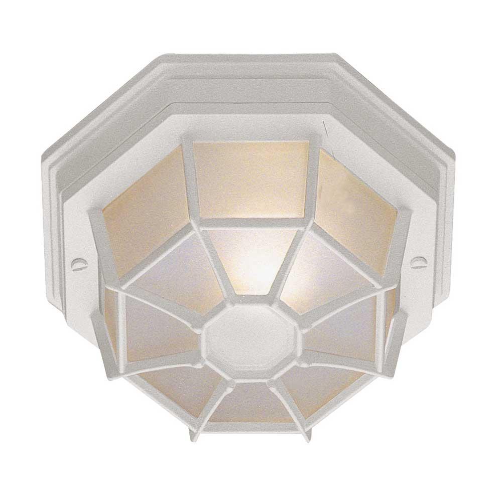 Trans Globe Lighting Ceiling Fixtures Outdoor Lights item 40581 BG