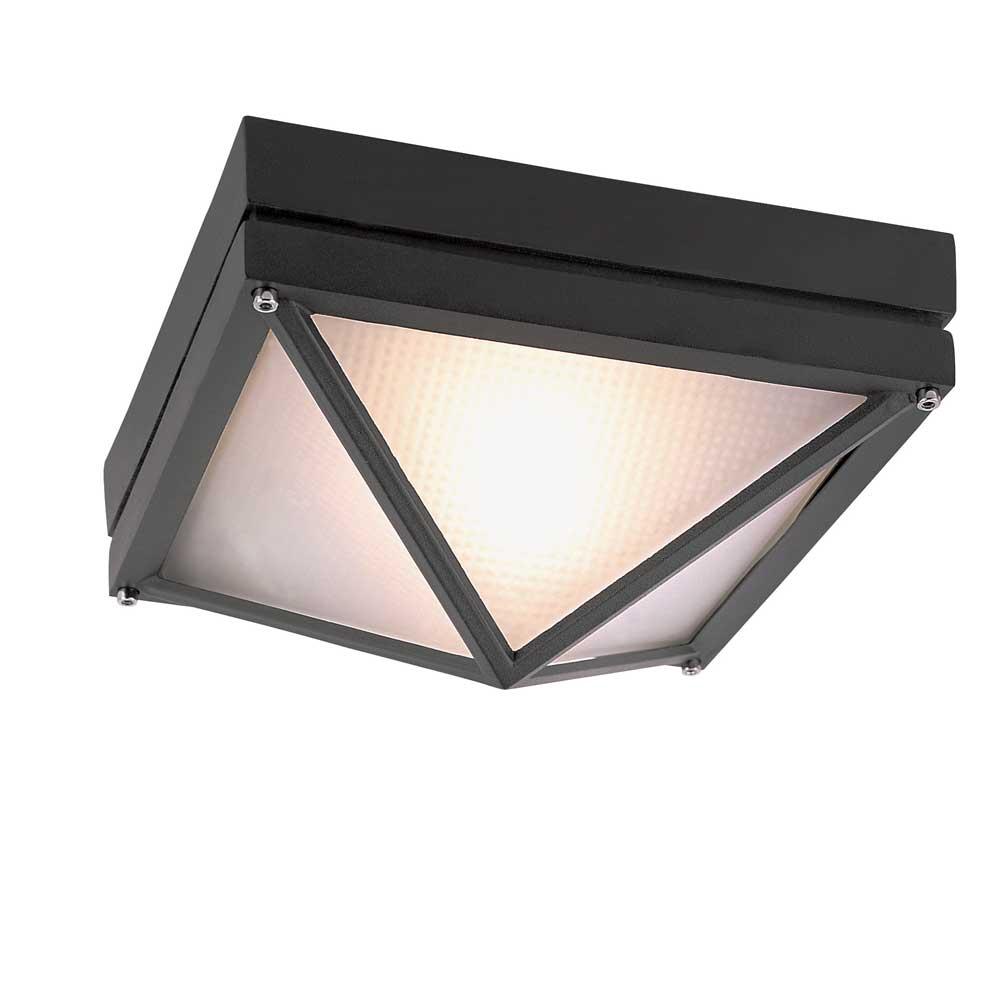 Trans Globe Lighting Ceiling Fixtures Outdoor Lights item 43301 BK