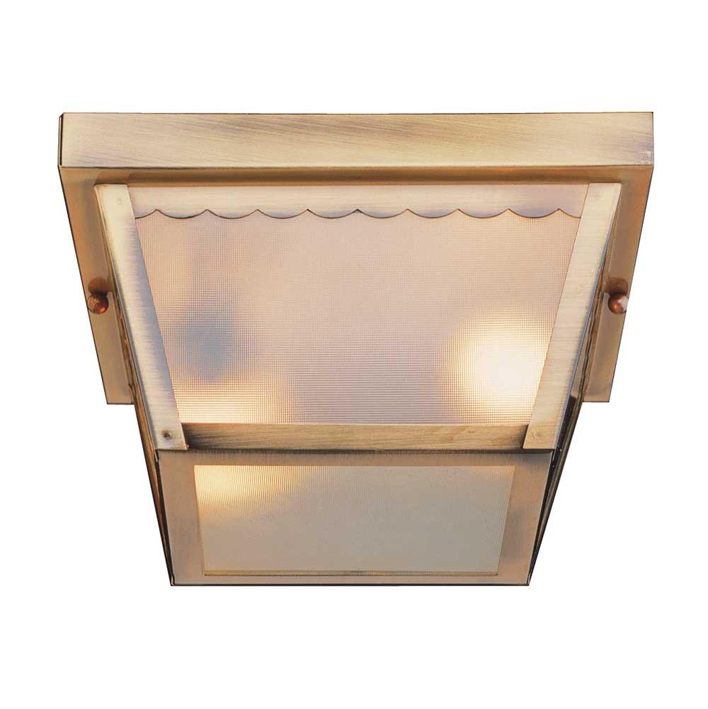 Trans Globe Lighting Ceiling Fixtures Outdoor Lights item 4901 PB