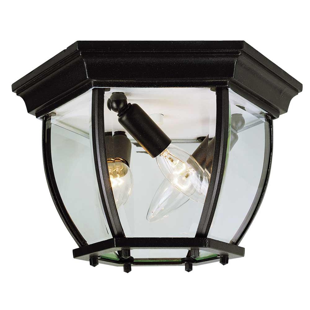 Trans Globe Lighting Ceiling Fixtures Outdoor Lights item 4907 BK