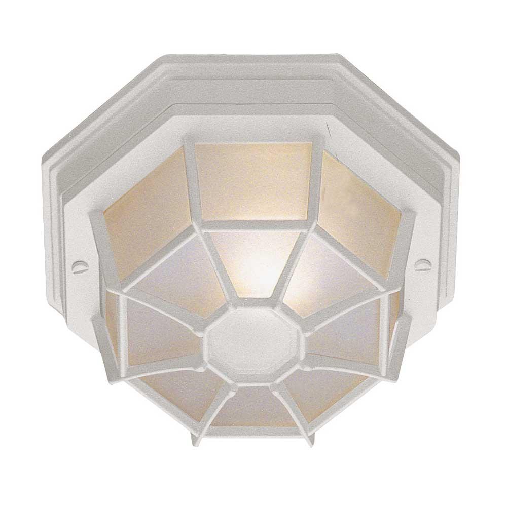 Trans Globe Lighting Ceiling Fixtures Outdoor Lights item PL-40582 WH